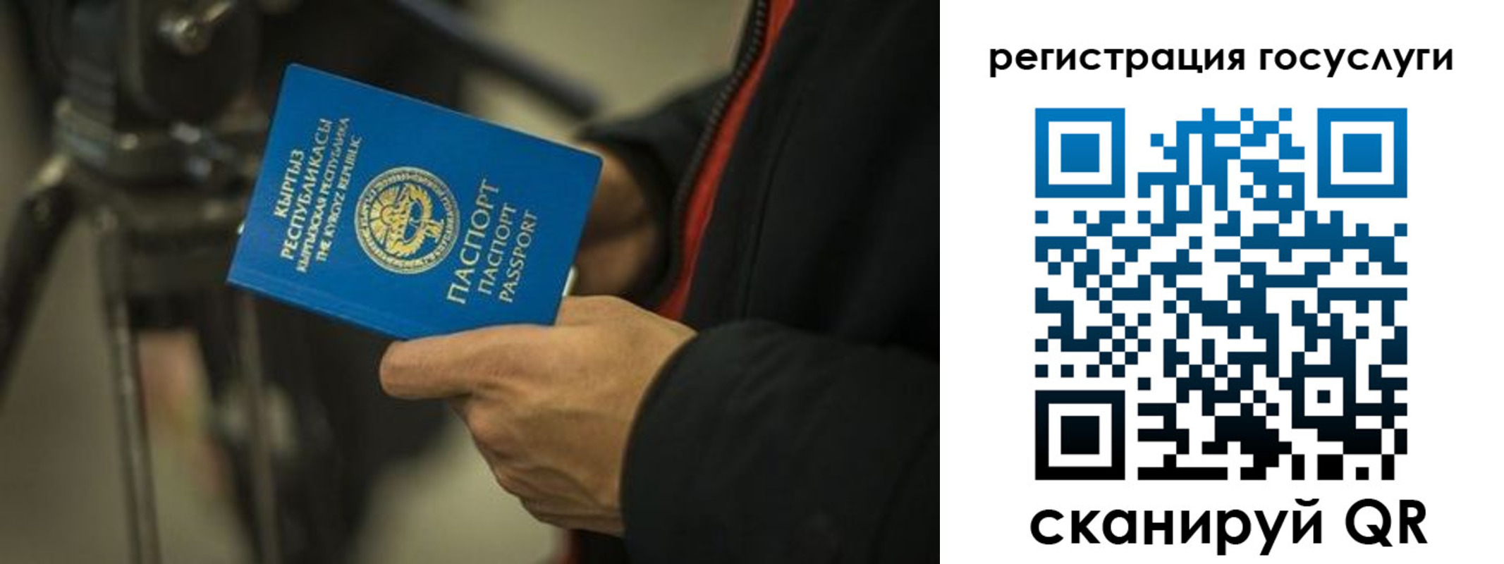 регистрация в Ростове-на-Дону